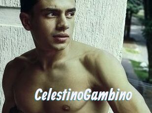 CelestinoGambino