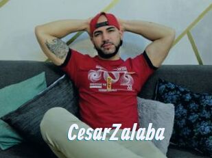 CesarZalaba