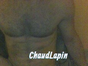 ChaudLapin