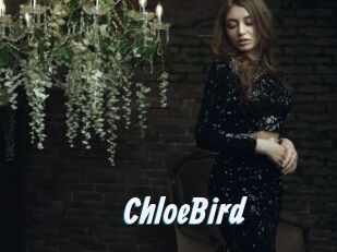 ChloeBird