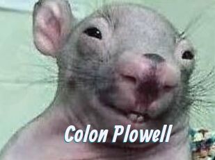 Colon_Plowell