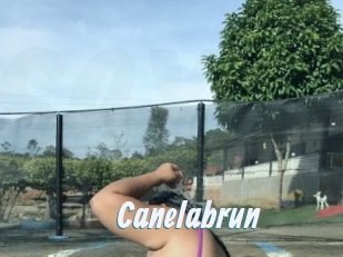 Canelabrun