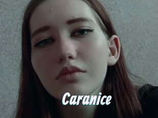 Caranice