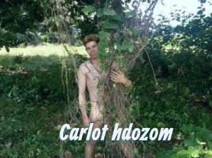 Carlot_hdozom