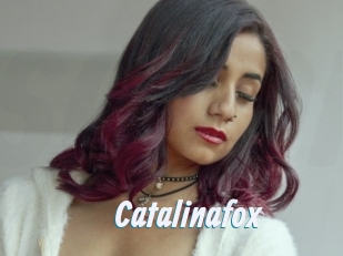 Catalinafox
