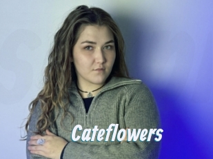 Cateflowers