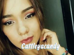Cattleyacandy