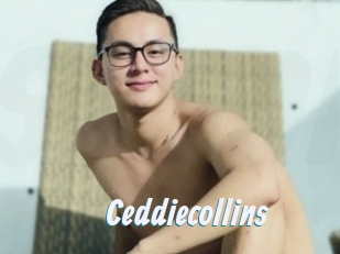 Ceddiecollins