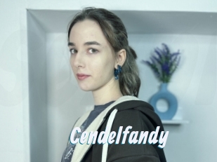Cendelfandy