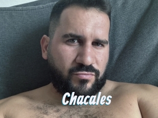 Chacales