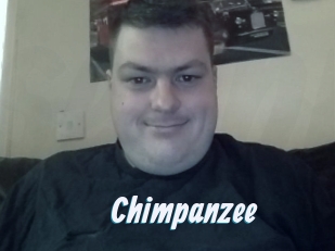 Chimpanzee
