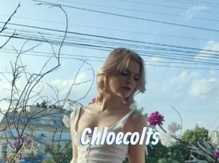 Chloecolts