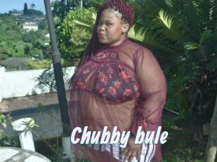 Chubby_bule