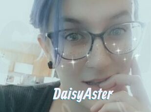 DaisyAster