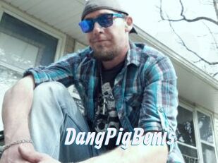 DangPigBenis