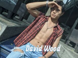 David_Wood