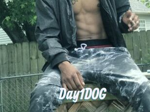 Day1DOG