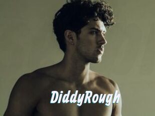 DiddyRough