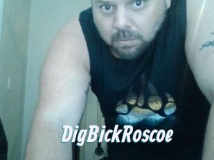 DigBickRoscoe