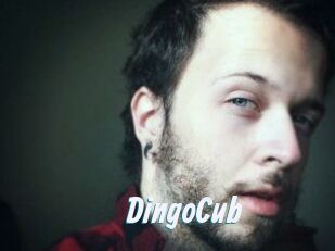 DingoCub