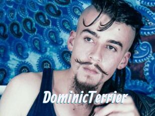 DominicTerrier