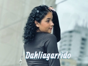 Dahliagarrido