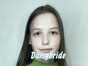 Daisybride