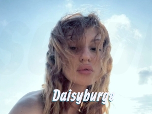 Daisyburge