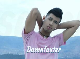 Damnfoxter