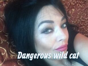 Dangerous_wild_cat