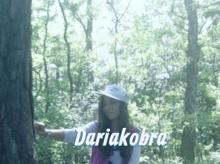Dariakobra