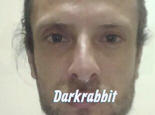 Darkrabbit