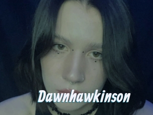 Dawnhawkinson