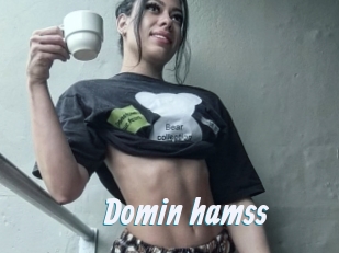 Domin_hamss