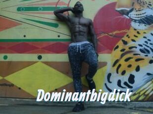 Dominantbigdick
