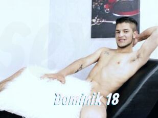 Dominik_18