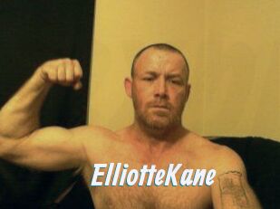 Elliotte_Kane