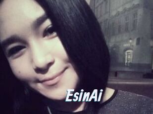 EsinAi