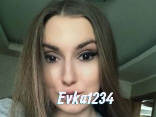 Evka1234
