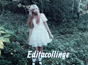 Editacollinge