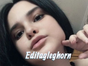 Editagleghorn