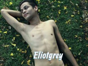 Eliotgrey