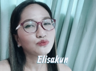 Elisakun