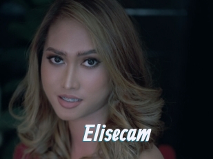 Elisecam