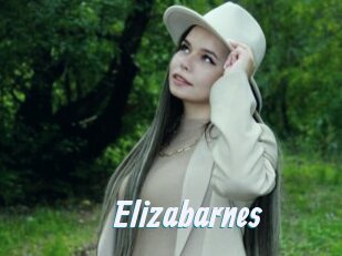 Elizabarnes