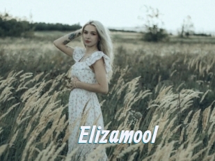 Elizamool