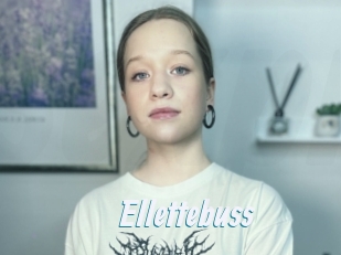 Ellettebuss