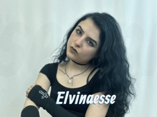 Elvinaesse