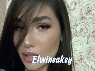 Elwineakey