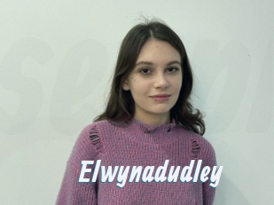 Elwynadudley